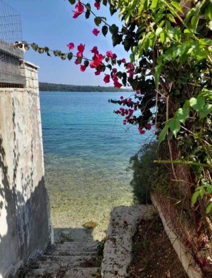 Anmare Holiday home Nydri (Lefkada)